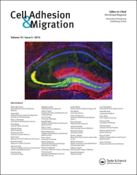 Cover image for Cell Adhesion & Migration, Volume 17, Issue 1