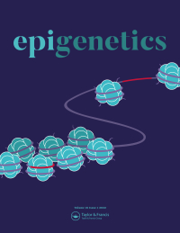 Cover image for Epigenetics, Volume 18, Issue 1
