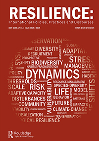 Cover image for Resilience, Volume 7, Issue 3