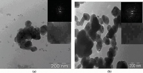 FIGURE 6 TEM images of (a) Cu2O and (b) CuO nanoparticles. After calcination at 450°C in nitrogen for 4 h, showing the uniform particle mapping and crystallinity supported by selected area electron diffraction pattern of copper oxide nanocrystals.