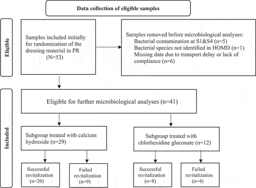 Figure 2. Flow chart of data collection of eligible root canal samples.