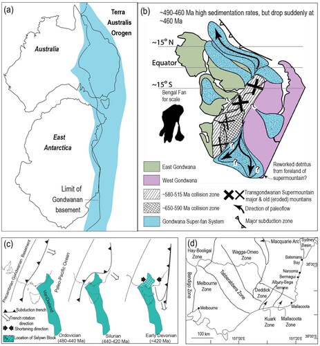 Figure 1. (a) Location of eastern Australia in the Terra Australis Orogen in a portion of East Gondwana (after Cawood, Citation2005) and the depositional system (blue) prior to the Silurian deformation along the paleo-Pacific margin of eastern Australia. (b) Schematic reconstruction after the convergence between East and West Gondwana between ca 490 and 460 Ma and the location of major features associated with evolution of the Gondwana super-fan system that produced the deposition along the paleo-Pacific margin (modified after Squire et al., Citation2006). The super-fan system was a result of high rates of erosion in the Transgondwanan Supermountains, which were established from ca 650 and 515 Ma. The present-day areal extent of the Bengal and Nicobar fan systems (Fergusson & Coney, Citation1992) adjacent to the Sumatra subduction zone is shown for scale. (c) Early Paleozoic evolution of southeastern Australia (after Moresi et al., Citation2014). This outlines the development of an orocline in response to the presence of VanDieland and the retreat of a subduction zone. (d) Structural zones of southeastern Lachlan Orogen (after VandenBerg et al., Citation2000).