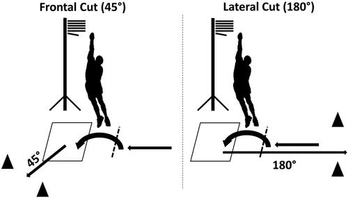 Figure 2. Illustrations of the different jump-cut movements.