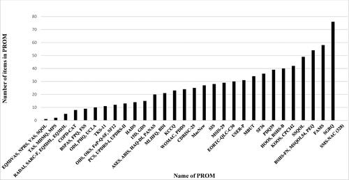 Figure 2. Number of items in PROMs.