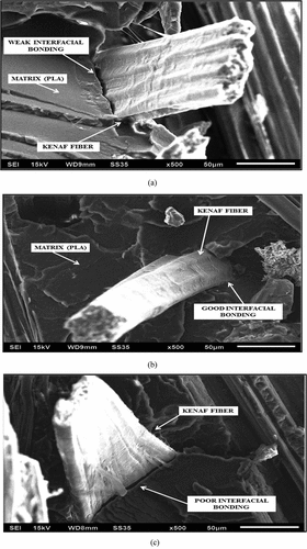 Figure 7. SEM images of tensile failed specimens of kenaf reinforced PLA-based bio-composites for (a) 160°C (b) 170°C and (c) 180°C at 500× magnifications respectively.