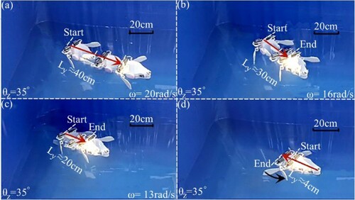 Figure A7. Experimental tests of swimming in water for a robot based on fixed-type flippers: (a) angular velocity (ω) of the swinging flipper is 20 rad/s for both sides; (b) angular velocity (ω) of the swinging flipper is 16 rad/s for both sides; (c) angular velocity (ω) of the swinging flipper is 13 rad/s for both sides; and (d) backward swimming test is generated during the recovery phase. (Ly in figures (a-c) represents the distance the robot swam forward; and Ly in figure (d) represents the distance the robot swims backward.)