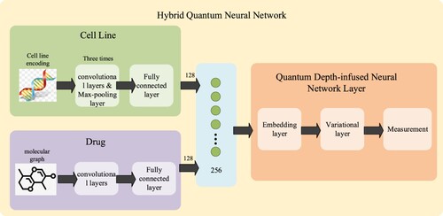 Figure 15. The overall framework diagram of the hybrid quantum neural network for drug efficacy prediction.