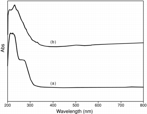 FIGURE 2 The same UV absorption spectrum was observed for (a) Cu2O and (b) CuO nanoparticles after calcination at 450°C in nitrogen for 4 h.