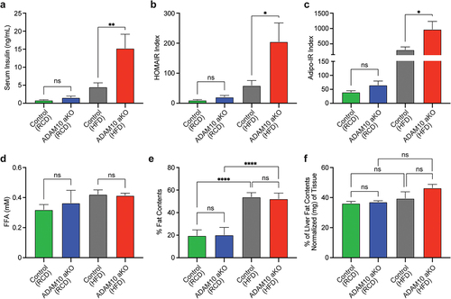 Figure 4. HFD-fed ADAM10 aKO mice have impaired insulin resistance following 33 weeks of diet. (a): Fasting serum insulin levels of control vs ADAM10 aKO mice on RCD and HFD. (b): HOMA IR index of control vs ADAM10 aKO mice on RCD and HFD. (c): Adipo-IR index of control vs ADAM10 aKO mice on RCD and HFD. (d): Fasting serum free fatty acid (FFA) of control vs ADAM10 aKO mice on RCD and HFD. (e): Percentage of fat mass of control vs ADAM10 aKO mice on RCD and HFD. (f): Percentage of liver fat content of control vs ADAM10 aKO mice on RCD and HFD. Data are shown as mean±SEM. *p < 0.05, **p < 0.01, ***p < 0.001, ****p < 0.0001, ns: no statistical significance.