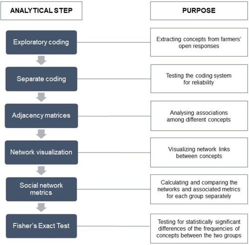Figure 2. Analytical steps performed for the mental model analyses.