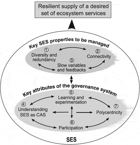Figure 8. The seven principles for managing the resilience of an SES (Biggs, Schlüter, Biggs, et al., Citation2012).