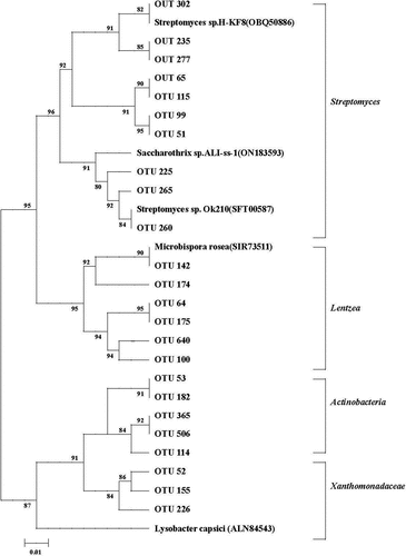 Figure 8. Maximum-likelihood tree of top 50 most abundant partial chiA OTUs.