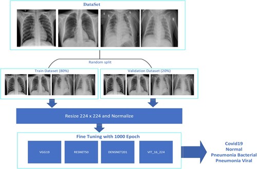 Figure 9. Transfer learning for X-ray.