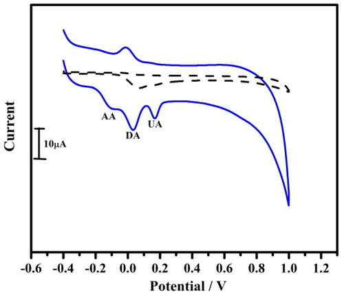 Figure 7. Cyclic voltammogram for simultaneous determination of 10 µM DA at bare carbon paste electrode (dotted line) and tavaborole modified carbon paste electrode (solid line) at a scan rate of 0.05 Vs−1.