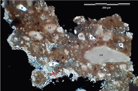 Fig. 5: Specimen from the bulla viewed under a petrographic polarising microscope (the black area marks the background); scale: 0.2 mm long; the brown silt includes limestone particles with calcite characteristic of rendzina soil; larger particles are of sand and silt containing limestone (LS), quartz (Q) and olivine (OL)