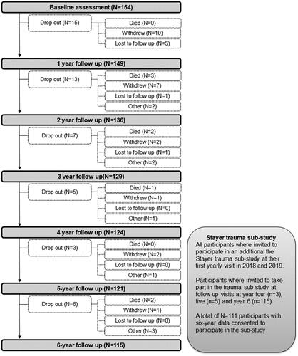 Figure 1. Flowchart of participants in the Stayer study and the trauma substudy.