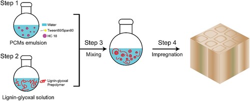 Figure 1. The experimental stages.