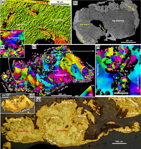 Figure 11. Microscopic views of the internal structure of Otago and Southland fluvial gold (etched with aqua regia), showing details of Ag leaching to leave Au-rich portions. A, Backscatter electron image of core grains of a particle, overlain with Au and Ag element maps to highlight Ag-poor (red; high relief) grains that have formed by Ag-leaching along coarse grain boundaries. B, Backscatter electron image of a particle in a, showing larger scale zones of Ag leaching (paler, Ag-poor zones) along grain boundaries. C, EBSD IP view across a gold particle from Southland goldfield showing contrasts in grain sizes and Ag contents. D, Incident light view of a particle in C. E,F, Close views of areas of Ag leaching and grain size reduction, as indicated in C. G, Incident light view of a Southland particle with a prominent Ag-poor rim (darker yellow) and extensive irregular and scattered internal Ag-leached patches and fine grains.