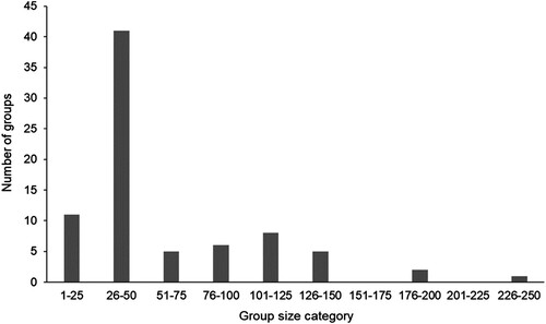 Figure 4. Group sizes (n = 79) of pilot whales encountered off eastern New Zealand between 2003 and 2019 (median = 50, IQ = 30–80, range = 5–250).