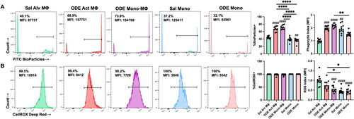 Figure 5. ODE exposure induces functional changes in lung monocyte/macrophage Sub-population phagocytic ability and reactive oxygen species (ROS) production. (A) Represent-ative histograms depicting phagocytosed fluorescein-labeled E. coli BioParticles of saline (Sal) vs. ODE exposed monocyte-macrophage Sub-populations. Scatter-dot plots depict mean (± SEM) percent of cell Sub-population exhibiting BioParticle-specific fluorescence and the phagocytic index (mean fluorescence intensity (MFI) of positive BioParticle gate per Sub-population divided by MFI of Sal Alv MΦ positive BioParticle gate). (B) Representative histograms depicting ROS production determination by CellROX Deep Red fluorescence; scatter-dot plots depict percent of cell Sub-populations exhibiting CellROX Deep Red fluorescence and ROS index (MFI of positive CellROX gate per Sub-population divided by MFI of Sal Alv MΦ positive CellROX gate). N = 10 mice/group from two independent experiments. Statistical significance vs. Sal Alv MΦ denoted by ##p < 0.01, ###p < 0.001, ####p < 0.0001); between groups (*p < 0.05, **p < 0.01, ****p < 0.0001).