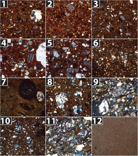 Figure 7. Thin-section photomicrographs of geological samples from the territory of Vetulonia. 1. Fine sediment fraction from River Ombrone; 2. Fine sediment fraction from River Ombrone; 3. Fine sediment fraction from River Bruna; 4. Fine sediment fraction from Stream Sovata; 5. Fine sediment fraction from Stream Sovata; 6. Fine sediment fraction from a tributary of stream Rigo; 7. Fine sediment fraction from the brackish wetland of Diaccia Botrona; 8. Clay from Formation 3; 9. Sedimentary rock from Formation 3; 10. Clay from Formation 31; 11. Sedimentary rock from Formation 31; 12. Flint from Formation 33 near Caldana. All pictures taken under XP; field of view: nos. 1–5, 7, 12 = 1.5 mm; nos. 6, 8–11 = 3 mm.