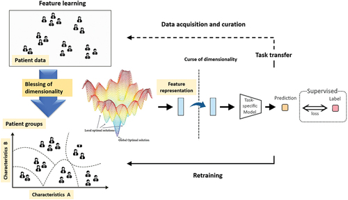 Figure 5. The blessing of dimensionality in small data sets [Citation77–79]. In small data sets, the wide dimensionality of data, when available, can be leveraged using machine learning and deep learning to classify patients based on clinical, imaging, and molecular characteristics to arrive at features that can be employed for prediction and subsequently retraining. Conclusions can be employed to optimize data acquisition (e.g. on study protocols and in clinic on the standard of care, e.g. post-re-RT imaging fusion and analysis for response), as well as data curation (e.g. dose to organs at risk in the RT field).