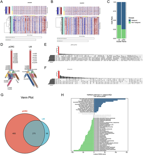Figure 3 CNV and clonality analysis of malignant cells. (A) InferCNV scoring plot of pCRC epithelial cells. (B) InferCNV scoring plot of LM epithelial cells. (C) Malignant cell ratio plot. (D) InferCNV clones evolutionary trees. (E) Upset plot of genes in metastasis related chromosome in pCRC. (F) Upset plot of genes in metastasis related chromosome in LM. (G) Venn plot of shared genes. (H) GSVA enrichment plot of malignant cells.