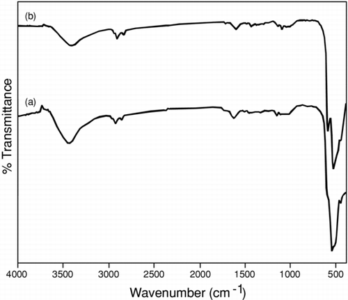 FIGURE 1 Similarity in FTIR spectra was recorded for (a) Cu2O and (b) CuO nanoparticles after calcination at 450°C in nitrogen for 4 h.