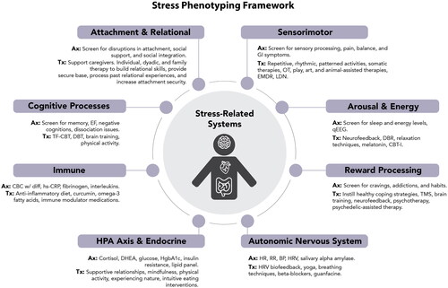 Figure 1. The Stress Phenotyping Framework.Ax, Example assessments; Tx, Example Treatments; GI, gastrointestinal; OT, occupational therapy; EMDR, Eye Movement Desensitization Reprocessing; LDN, low dose naltrexone; qEEG, quantitative electroencephalogram; CBT-I, Cognitive Behavioral Therapy for Insomnia; TMS, Transcranial Magnetic Stimulation; HR, heart rate; RR, respiratory rate; BP, blood pressure; HRV, heart rate variability; DHEA, dehydroepiandrosterone: HgbA1c, hemoglobin A1c; CBC with diff, complete blood count with differential; hsCRP, high-sensitivity c-reactive protein; EF, executive function; TF-CBT, Trauma-Focused Cognitive Behavioral Therapy; DBT, Dialectical Behavior Therapy