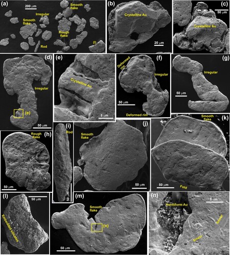 Figure 6. SEM backscatter images of beach gold extracted from exploration bulk sample near Lake Mahinapua (Figure 1C; Figure 3A,C; Figure 5A,B). A, General view of gold shapes. B–E, Particles with remnants of orogenic crystalline gold forms. F–I, Irregular particles with variably deformed rough surfaces. J–M, Flakes with smoothed and deformed surfaces. The particle in l has embedded fine silicate clasts. N, Close view of a cavity in m, with a cluster of vermiform gold.