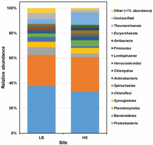 Figure 2. The prokaryotic community composition of Sargassum waste at phylum level. LB, Long Beach; HS, Harrismith beach. The DNA extracted from quadruplicate Sargassum samples from each beach was pooled into one representative sample, and then used to prepare the Illumina sequencing libraries targeting the V3-V4 region of the 16S rRNA gene.