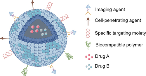 Figure 11 Multifunctional Nanoparticles for Drug Delivery.