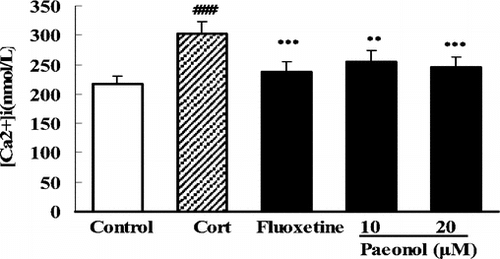 Figure 6 Effect of paeonol or fluoxetine on the corticosterone-induced [Ca2+]i overloading in PC12 cells. Cells were exposed to corticosterone 200 µM in the absence or presence of paeonol or fluoxetine for 48 h, and [Ca2+]i was detected using the sensitive indicator dye, Fura-2/AM. Data are expressed as means ± SEM. ###p < 0.001 versus control. **p < 0.01, ***p < 0.001 versus corticosterone-treated group.