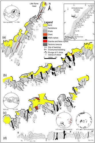 Figure 17. Maps of coastal outcrops south of Little Rame Head and representative structural data. The inset map shows location of (a–c). (c) Trends in bedding south of Shipwreck Creek. Contour intervals in (a, b) are 0.5, 2, 5, 7 and >10% per 1% area. Contour intervals in (c) are 0.5, 2, 7 and >10% per 1% area. (d) Cross-section between X–X′–Xʺ in coastal outcrops illustrated in subarea (c).