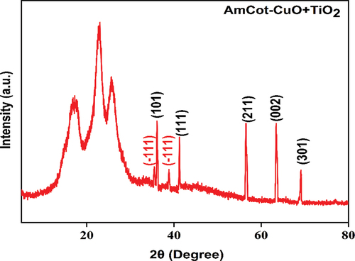 Figure 3. XRD pattern of AmCot-CuO+TiO2.