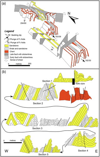Figure 14. Schematic block diagram and cross-sections looking north showing the sequences and section lines identified in Figure 13. (a) The chert unit in section 2 is part of an extended anticline that is crosscut by a large sinistral fault in the north. Further south in the cherts, reactivated D1 bedding-parallel faults bound blocks with different strain histories. (b) Sections illustrating structural relationships north of Seal Creek to Fold Beach.