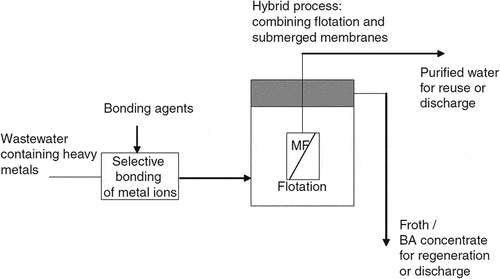 Figure 2. A new hybrid process for separation of heavy metal ions from contaminated water using integrated processes combining metal bonding [Citation87].