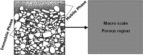 Figure 5. Definition of the mobile and immobile phase (left figure) and the porous region (right figure).