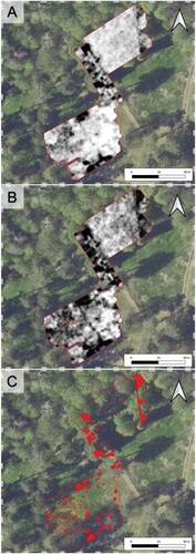 Figure 6. Interpretation of the results of GPR survey in the PoW cemetery in Łambinowice. A) GPR survey time slice grayscale visualization (0–50 cm); B) contrast enhanced visualization with superimposed plan of graves located through excavation; and, C) mapping of shallow GPR anomalies with superimposed plan of graves located through excavation (prepared by P. Wroniecki; source: The Central Museum of Prisoners of War).