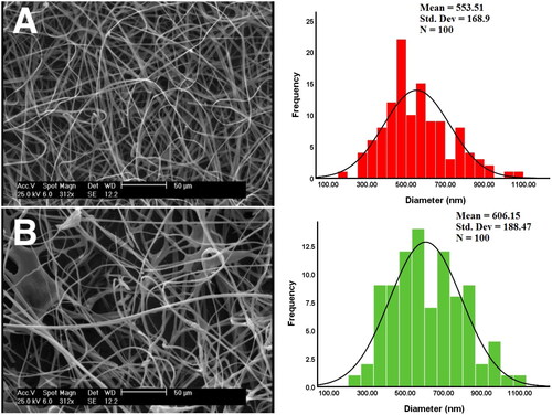 Figure 4. Scanning electron microscopy (SEM) images of fabricated nanofibers and average diameter. A) Blank nanofibrous mat, B) Myco/NFs/Alv/ZnO nanofibrous mat.