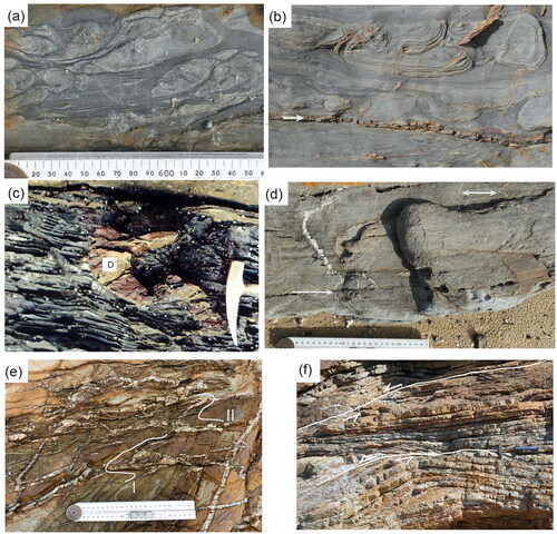 Figure 6. Representative photos showing syn-sedimentary and D1 deformation features. (a, b) Ball-and-pillow structures that pre-date deformation at Secret Beach. Scale = 25 cm ruler and is the same in both images. The arrow in (b) indicates a quartz-filled bedding-parallel fault. (c) Syn-sedimentary sandstone dyke (D) in black shale unit north of Shipwreck Creek. (d) Folded early quartz veins, indicated by white arrows parallel to the S2 cleavage. (e) Folded and boudinaged early quartz veins (indicated by white lines I and II) overprinted by later sub-planar extensional veins. (f) Reactivated low-angle normal faults marking shearing in a chert sequence. Hammer scale = 34 cm.