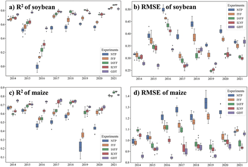 Figure 4. Performance comparison of the yield prediction by the 5 detrending methods (NTP, IYF, IAYF, ILYF, and GDT) from 2014–2021. A) R2 of the soybean yield predictions, b) RMSE of the soybean yield predictions, c) R2 of the maize yield predictions, and d) RMSE of the maize yield predictions.