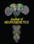 Cover image for Journal of Neurogenetics, Volume 23, Issue 3, 2009
