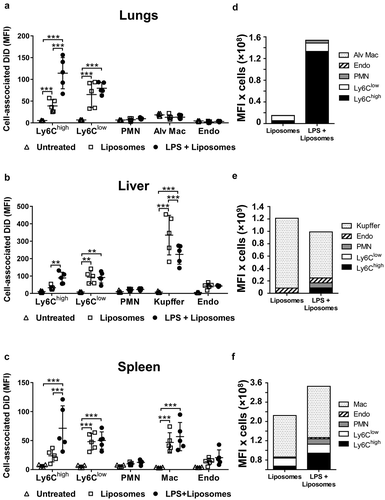 Figure 8. Uptake of circulating PS liposomes during low-grade systemic inflammation. DiD-labelled liposomes were injected i.v. into untreated or low-dose LPS-treated (20 ng, i.v. 2 h) mice. At 1 h post-MV injection, lungs (a), liver (b) and spleen (c) were harvested for preparation of fixed single-cell suspensions and analysis by flow cytometry. Cell-associated DiD fluorescence is indicated (MFI) as a measure of liposome uptake per cell in each of the cell populations. Total uptake of PS-liposomes and per each organ type (d–f) was estimated (see Methods) by calculating the individual mouse cell-associated DiD MFI values (a–c) × group mean cell counts/organ (data in Figure 3). Data are displayed as mean ± SD and analysed by two-way ANOVA with Bonferroni correction tests. n = 5, **p < 0.01, ***p < 0.001.