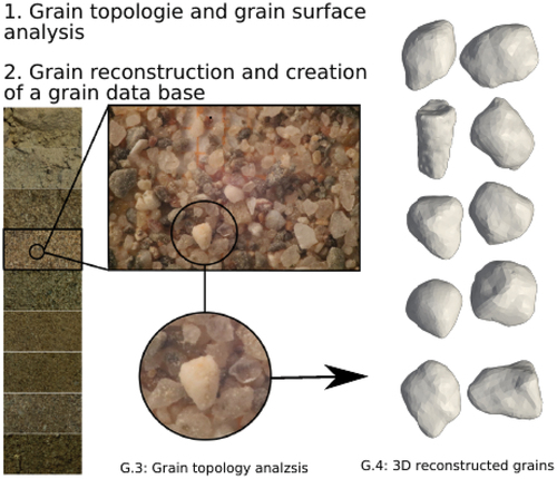 Figure 2. Lithological profile with digitally generated grains.