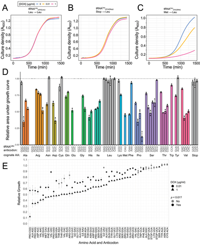 Figure 6. Impact of tRNALeu anticodon variants on yeast growth.