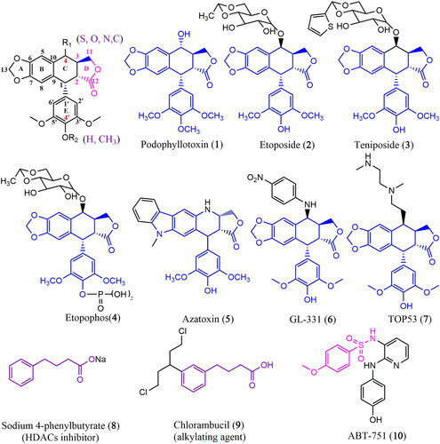 Figure 1. Structures of podophyllotoxin, 4-phenylbutyrate, ABT-751, and their analogues.