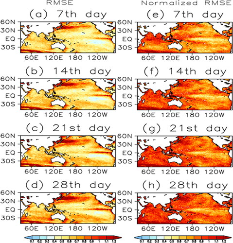 Fig. 4. Left panels: model’s predicted SSTA (°C) root-mean-squared errors (RMSEs) at the forecast lead time (a) 7th day, (b) 14th day, (c) 21st day and (d) 28th day over the hindcast period 1990–2012. Right panels are the same as the left panel but for normalized RMSE using observed SSTA standard deviations.