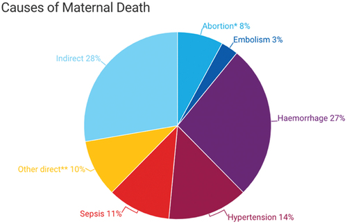 Figure 1. Direct obstetric cause of maternal mortality.