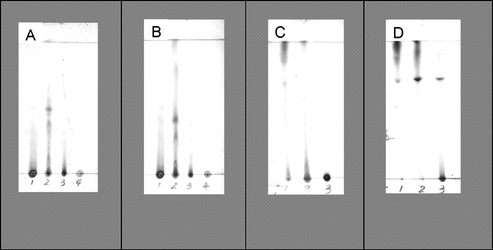 Figure 1 Thin-layer chromatograms of HA and HJ fractions. Samples in plates (A) and (B): HA fractions: 1, HA crude extract; 2, HA01 (hexane fraction); 3, HA03 (chloroform fraction); 4, HA04. TLC conditions: (A) petroleum:acetone (8:2); (B) CHCl3:MeOH (99:1); H2SO4 sprayed followed by heating. Samples in plates (C) and (D) HJ fractions: 1, HJ01 (hexane fraction); 2, HJ03 (chloroform fraction); 3, HJ04. TLC conditions: (C) EtOAc:MeOH (96:4); (D) EtOAc:MeOH (7:3); H2SO4 sprayed followed by heating.